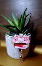 Chanel, Vogue, Christian Dior, L'officiel (Badge Reel)